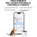 Fontanella per Gatti Petkit